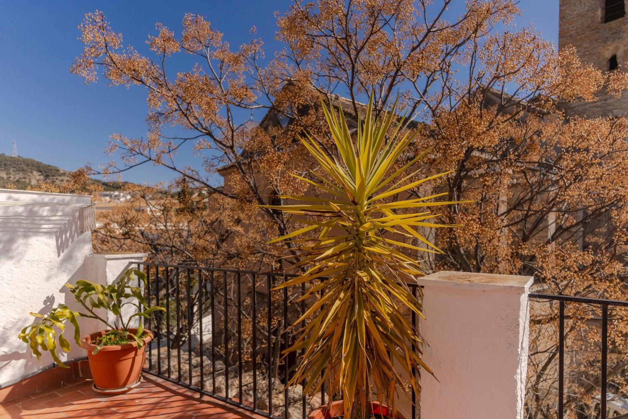 La Casita De La Plaza Villa Granada Ngoại thất bức ảnh